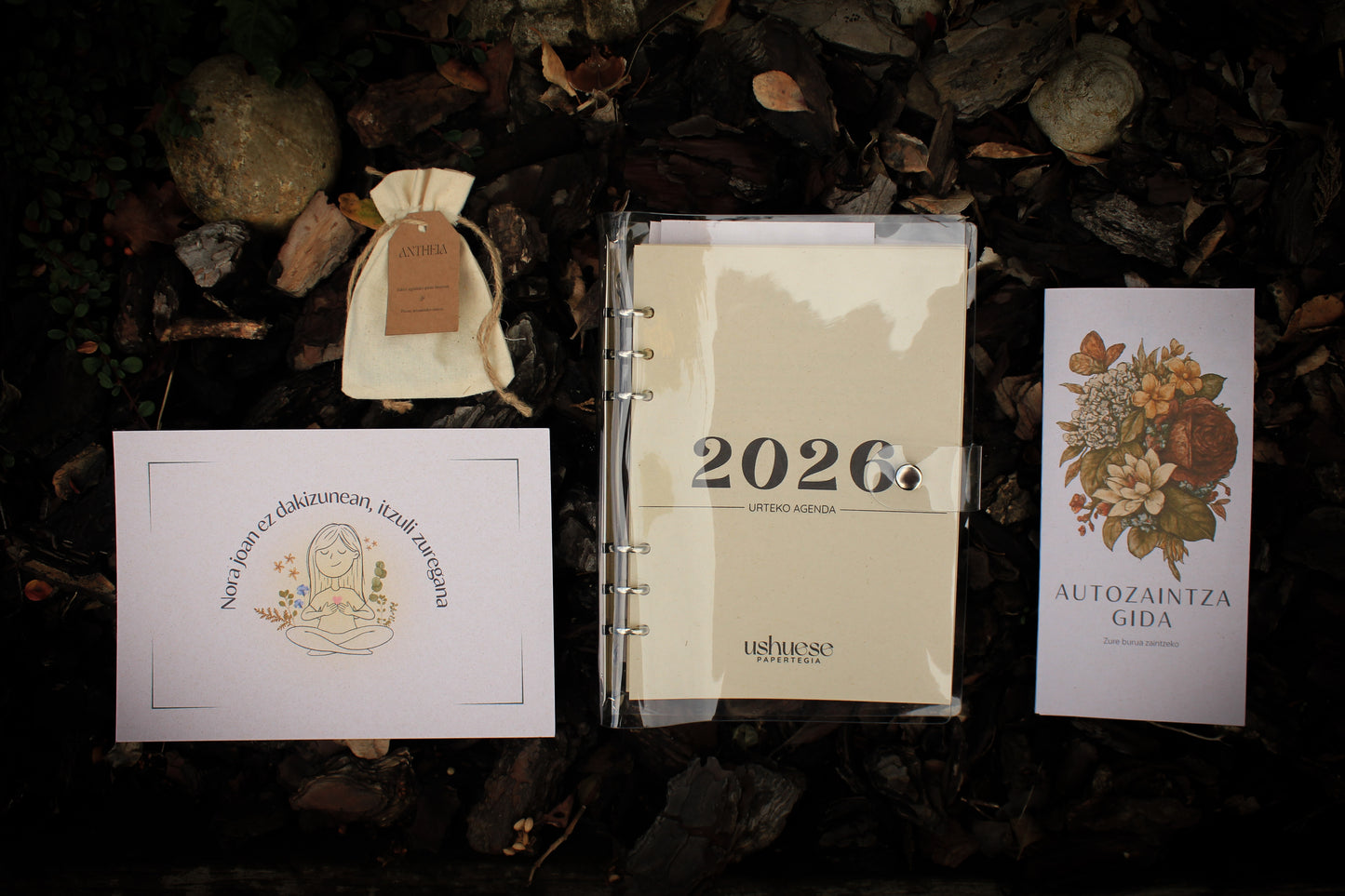 Autozaintza kutxa berezia