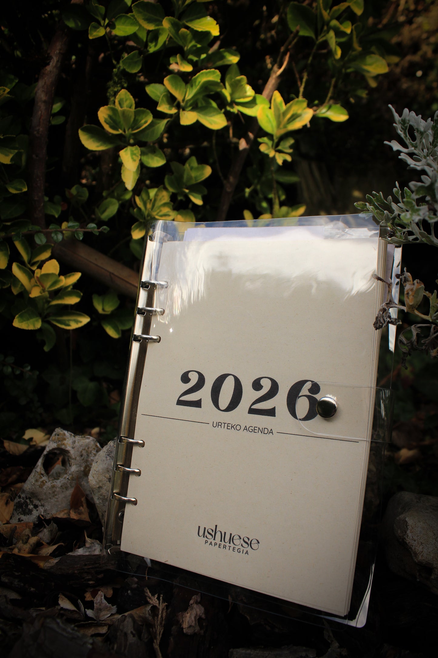 Autozaintza kutxa berezia