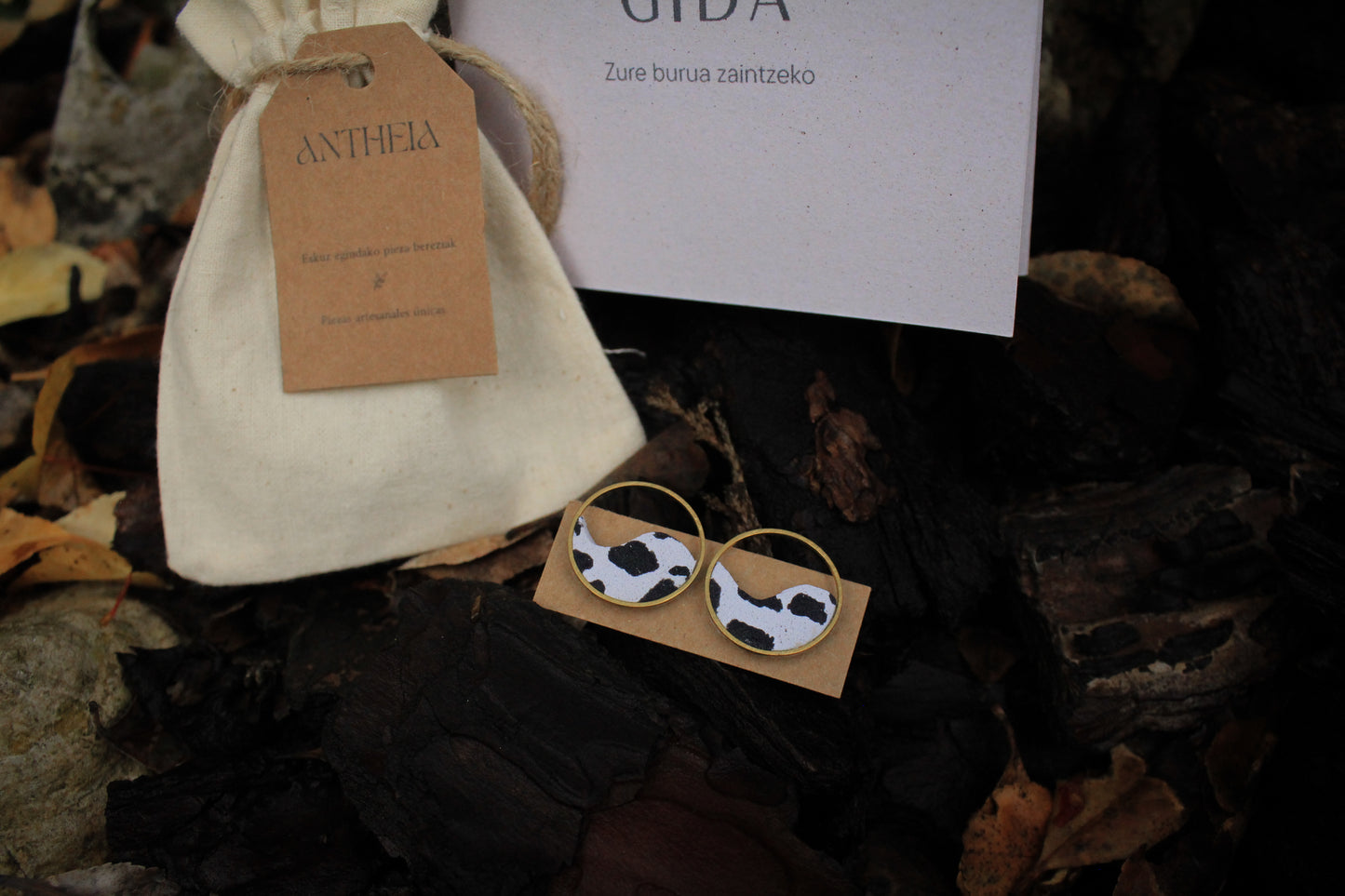 Autozaintza kutxa berezia